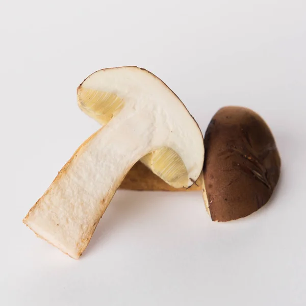 Bolete Bahía Otoño Sobre Fondo Blanco — Foto de Stock