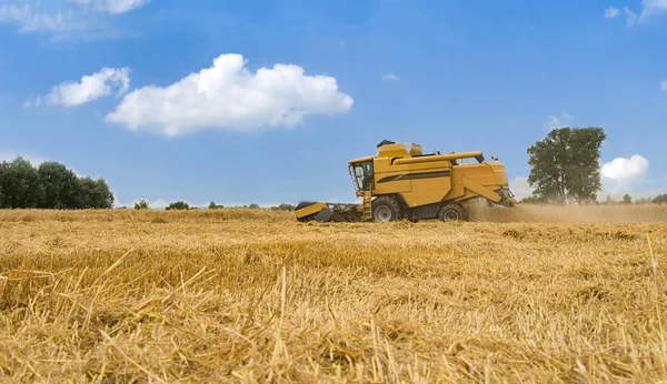 Colheitadeira Máquina Para Colher Trabalho Campo Trigo Combine Harvester Agricultura — Fotografia de Stock