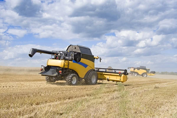 Oogstmachine Tarweveld Oogsten Combineer Oogstmachine Landbouwmachine Oogsten Gouden Rijpe Tarweveld — Stockfoto