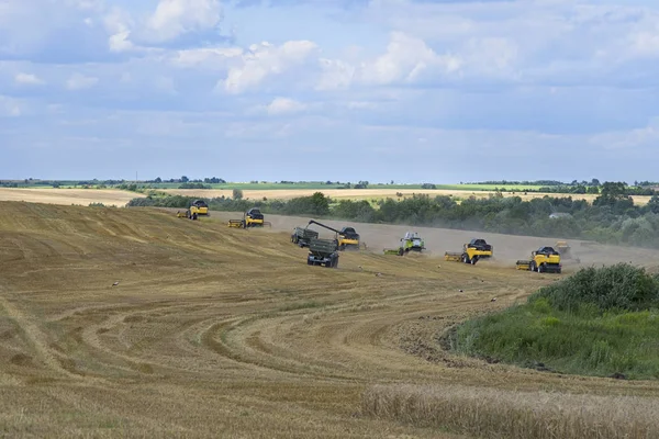 小麦フィールド作業を収穫するための収穫機 黄金の熟したコムギ畑を収穫する収穫機を組み合わせる — ストック写真