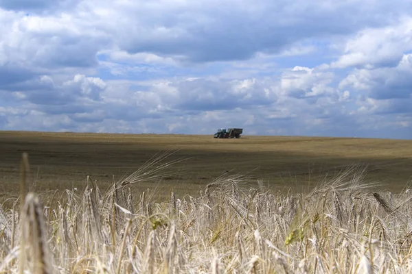 Тракторный Прицеп Пшеничном Поле — стоковое фото