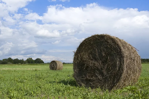 Fält Med Halmbalar Efter Skörd Mulen Bakgrundshimmel — Stockfoto