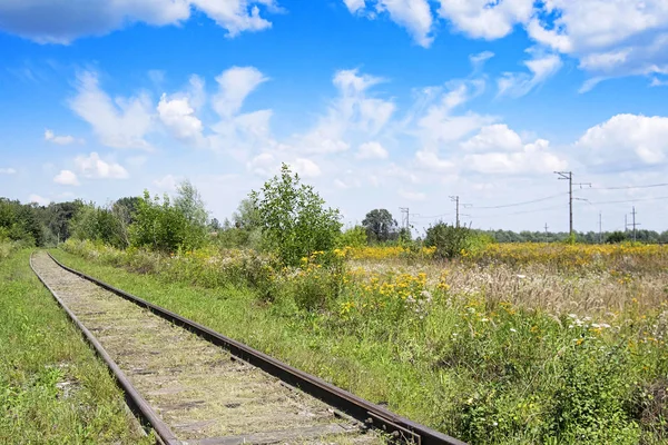 Eisenbahn Auf Dem Feld Einem Schönen Tag — Stockfoto