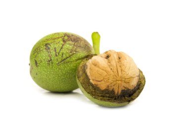 yeşil kabuğu beyaz arka plan üzerinde izole ceviz