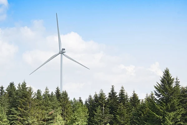 Turbine Windpark Bos — Stockfoto