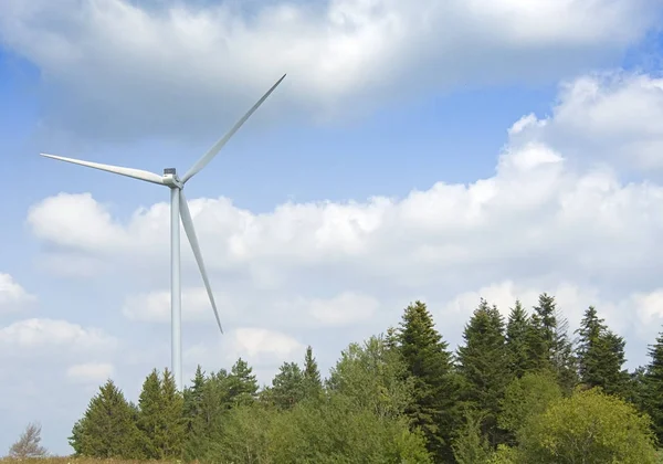 Szél Turbina Farm Erdő — Stock Fotó