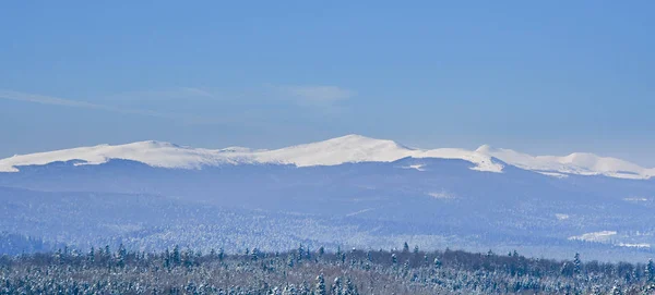 Beau Paysage Hivernal Dans Les Montagnes — Photo