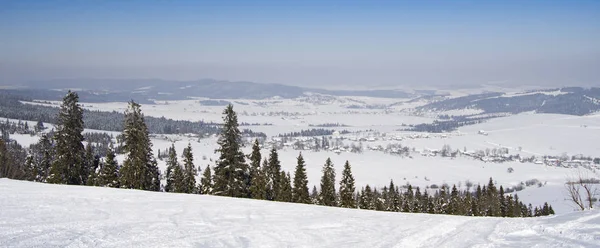 Gyönyörű Téli Táj Hóval Borított Fák — Stock Fotó