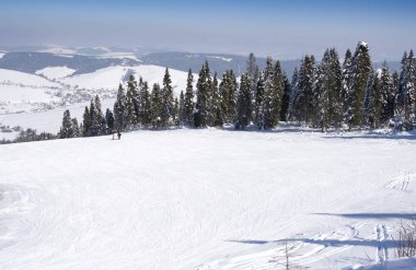 Karla kaplı ağaçlarla kaplı güzel kış manzarası