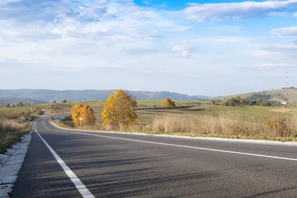 Strada Asfaltata Segnaletica Girare Destra Mezzo Bosco — Foto Stock