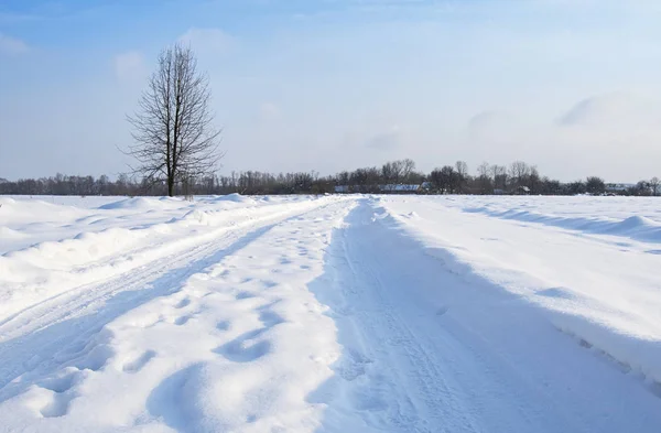 Eine Straße Liegt Winterwald — Stockfoto