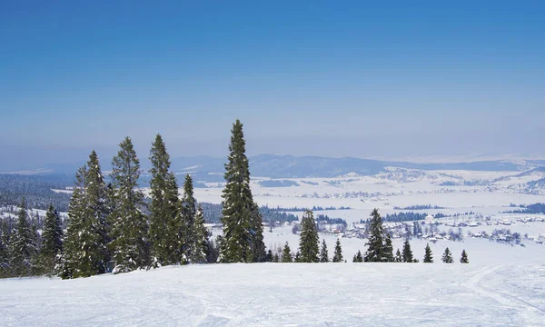 Fantastiskt Vinterlandskap Med Snöiga Träd Karpaterna Ukraina Europa Julhelg Koncept — Stockfoto