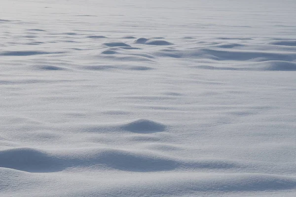 雪のフィールド クローズ アップ — ストック写真