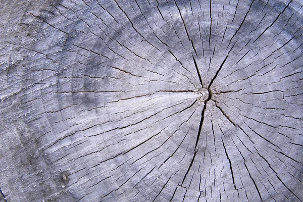 Textura de madeira — Fotografia de Stock