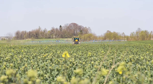 Spraying rape field — Stock Photo, Image