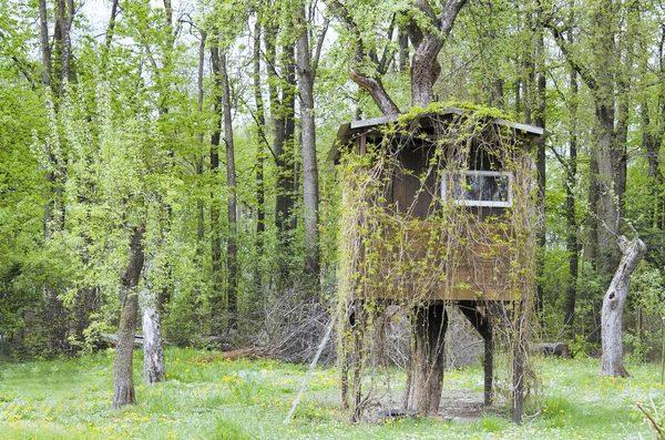Casa na árvore — Fotografia de Stock