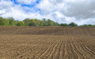 avrupa kırsal bahar manzara