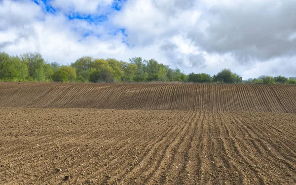 avrupa kırsal bahar manzara