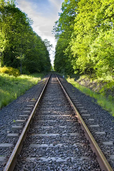 Beautiful green railway — Stock Photo, Image