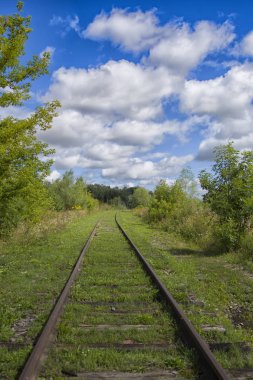 güzel yeşil demiryolu