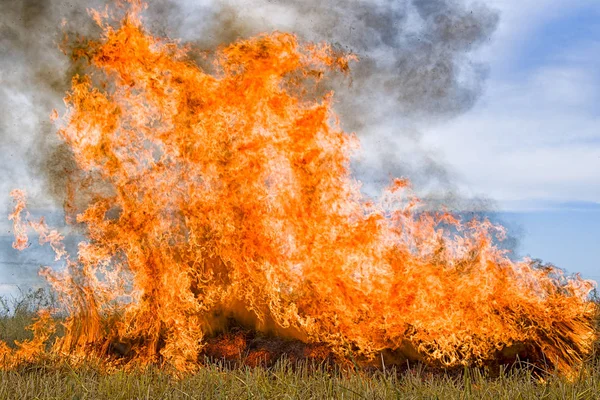燃烧秸秆 图库图片