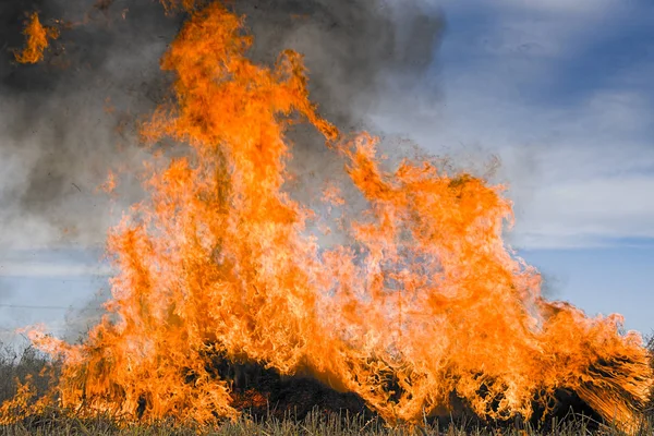 Brennende sugerør – stockfoto