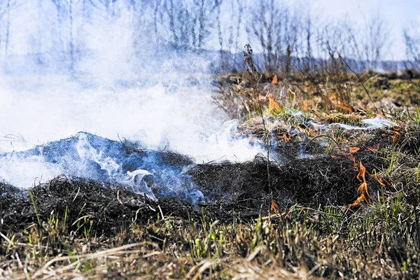 Feu sur le terrain Images De Stock Libres De Droits