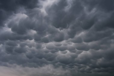 Menacing mammatus clouds before the storm, stormy sky, climate change and unpredictable terrifying mother nature clipart