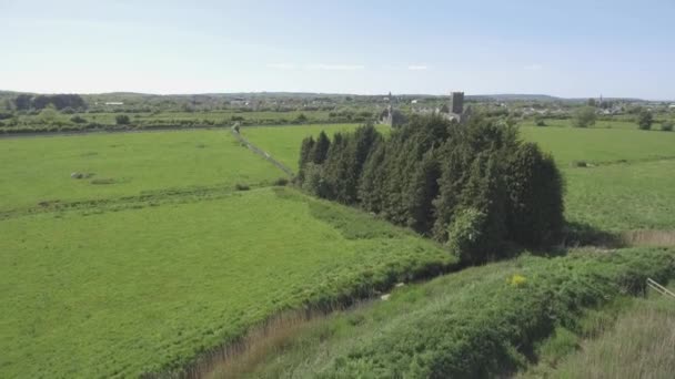 Ruínas Antigas Cênicas Bonitas Abadia Clare Condado Clare Irlanda Campo — Vídeo de Stock