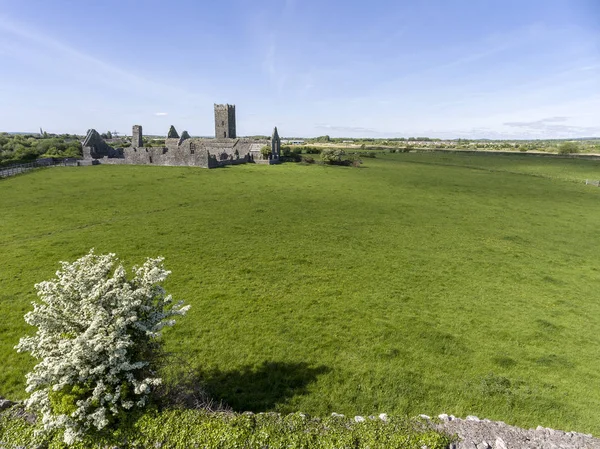 Magnifiques Ruines Pittoresques Abbaye Clare Dans Comté Clare Irlande Campagne — Photo