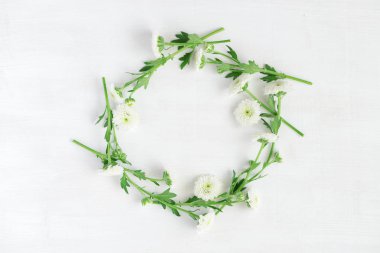 Beyaz ahşap zemin üzerinde beyaz çiçek güzel çelengi. Krizantem yuvarlak çerçeve. Üstten görünüm çiçek deseninin. Harika bahar kompozisyon. Düz çiçek koymak.