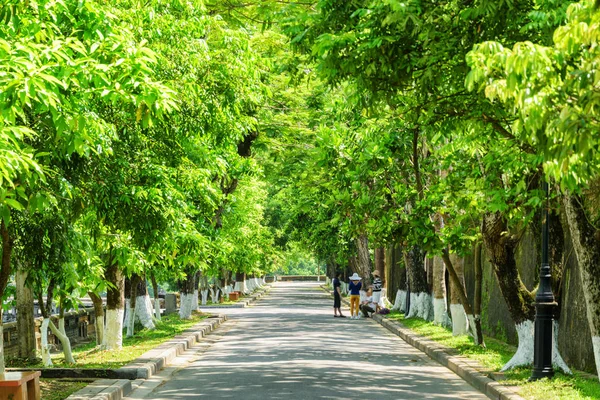 风景秀丽的绿色阴凉的路在夏天晴朗的天在皇家城市在色调 色调是亚洲最受欢迎的旅游胜地 — 图库照片