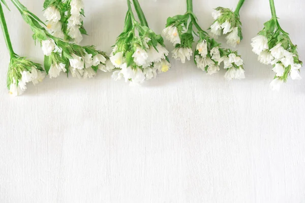 Flat lay of beautiful white flowers on white wooden background. Top view of flower composition. Spring and summer concept.