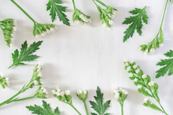 Yuvarlak Kare Beyaz Ahşap Zemin Üzerine Yeşil Yaprakları Beyaz Çiçekler — Stok fotoğraf
