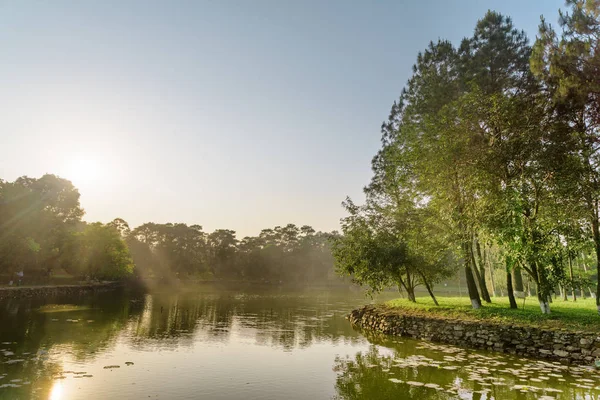 Park Manzaralı Göl Harika Manzarasını Yaz Gününde Şaşırtıcı Yeşil Orman — Stok fotoğraf