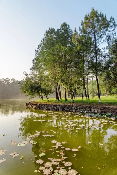 Scenic View Beautiful Lake Park Summer Day Wonderful Green Woods — Stock Photo, Image