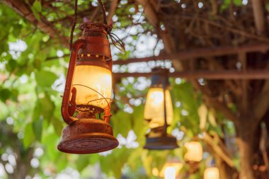 Yeşil yeşillik zemin üzerine doğal görünümü eski sokak ışıkların. Vintage tarzı aydınlatma. Şaşırtıcı dekor.