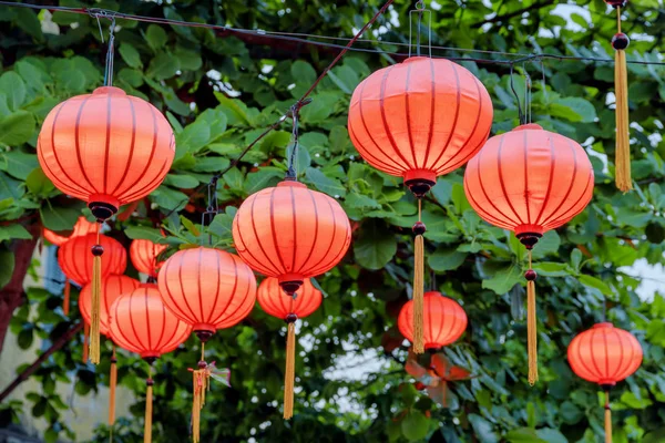 Traditional silk red lanterns on green foliage background in evening. Street decor.