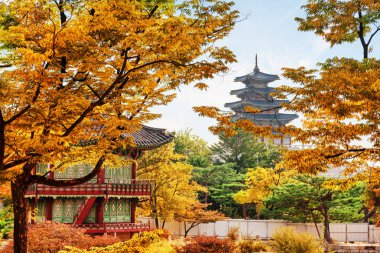 Amazing view of colorful autumn garden of Gyeongbokgung Palace with Hyangwonjeong Pavilion in Seoul, South Korea. Beautiful tower of the National Folk Museum of Korea is visible on blue sky background clipart