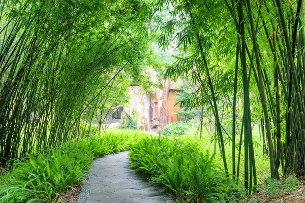 Fantastisk Sten Gångväg Bland Ormbunkar Och Grön Bambuträd Park — Stockfoto