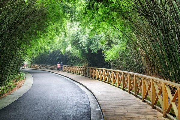 Vackra Slingrande Vägen Och Trätrottoar Bland Grön Bambu Skog Fantastiska — Stockfoto