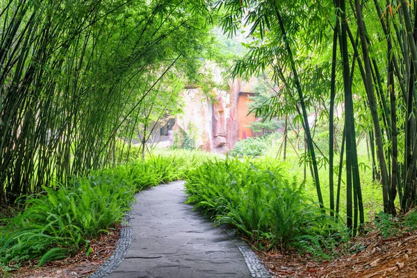 Stone Loopbrug Tussen Varens Groene Bamboe Bomen Park — Stockfoto