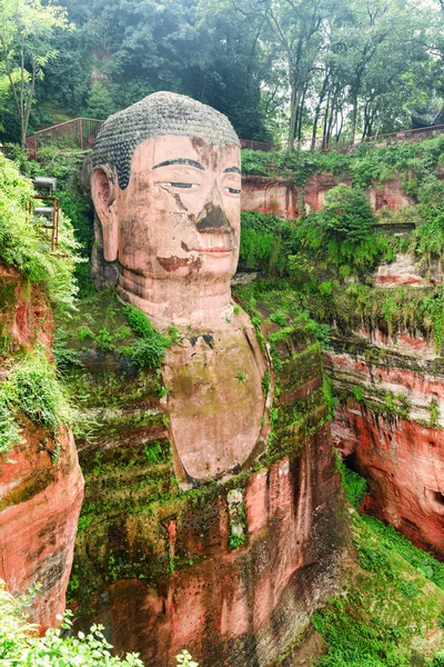 Buda Gigante Leshan Entre Árvores Verdes Arbustos Maior Mais Alta — Fotografia de Stock