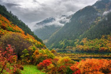 Sis, herdem yeşil orman, renkli sonbahar orman ve doğal göller Jiuzhaigou doğa rezerv (Jiuzhai Vadisi Milli Parkı), Çin dağlarının muhteşem manzarası. Güzel sonbahar manzara.