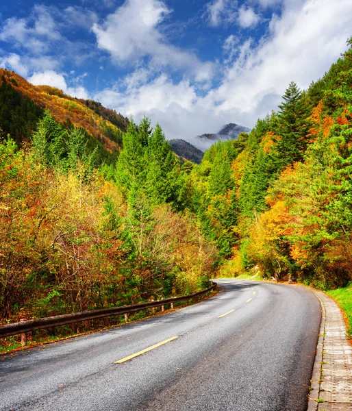 Piegare Strada Tra Boschi Colorati Autunno Montagne Panoramiche Nella Nebbia — Foto Stock