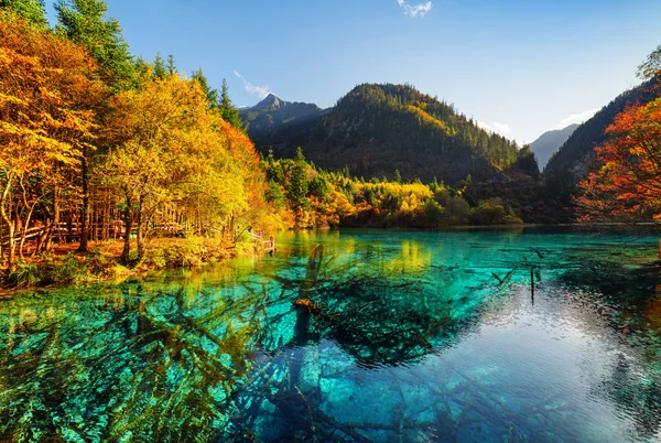Вид Озеро Пять Цветов Разноцветное Озеро Среди Осенних Деревьев Заповеднике — стоковое фото