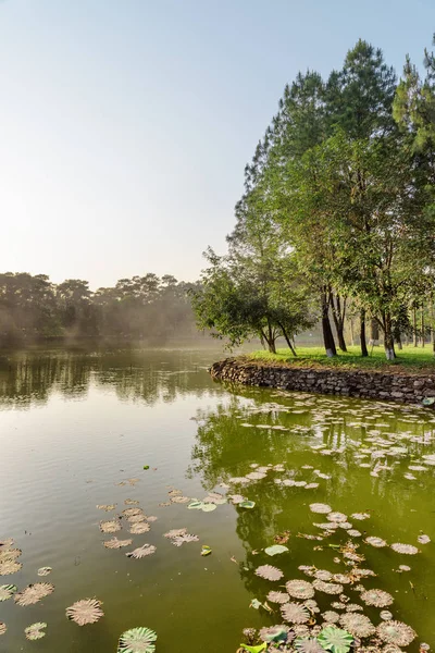 Muhteşem Göl Park Yaz Gününde Doğal Yeşil Orman Muhteşem Manzara — Stok fotoğraf