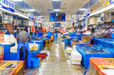 Busan, Güney Kore - 7 Ekim 2017: Busan Liman kenarında Jagalchi balık pazarı sabah görünümünü şaşırtıcı. Jagalchi balık pazarı Asya'nın popüler bir turistik 's.