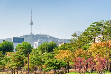 Güzel renkli sonbahar park Seoul, Güney Kore. Namsan Seul Kulesi mavi gökyüzü arka plan üzerinde görünür. Kule Asya'nın popüler bir turistik 's. Harika sonbahar cityscape.