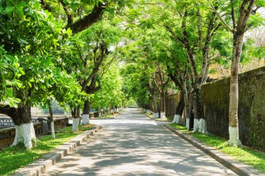 Güzel yeşil gölgeli yol güneşli gün yaz Hue, Vietnam için Imperial City. Renk tonu Asya'nın popüler bir turistik yer.